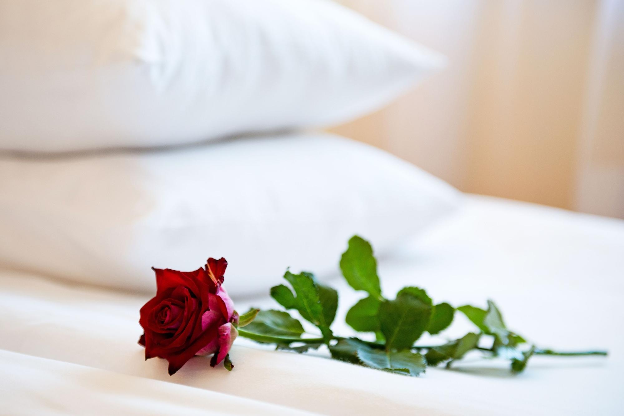 Best Baltic Hotel بالانغا المظهر الخارجي الصورة